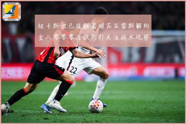纽卡斯尔已接触葡超苏亚雷斯解约金八零零零万欧元引关注战术观察